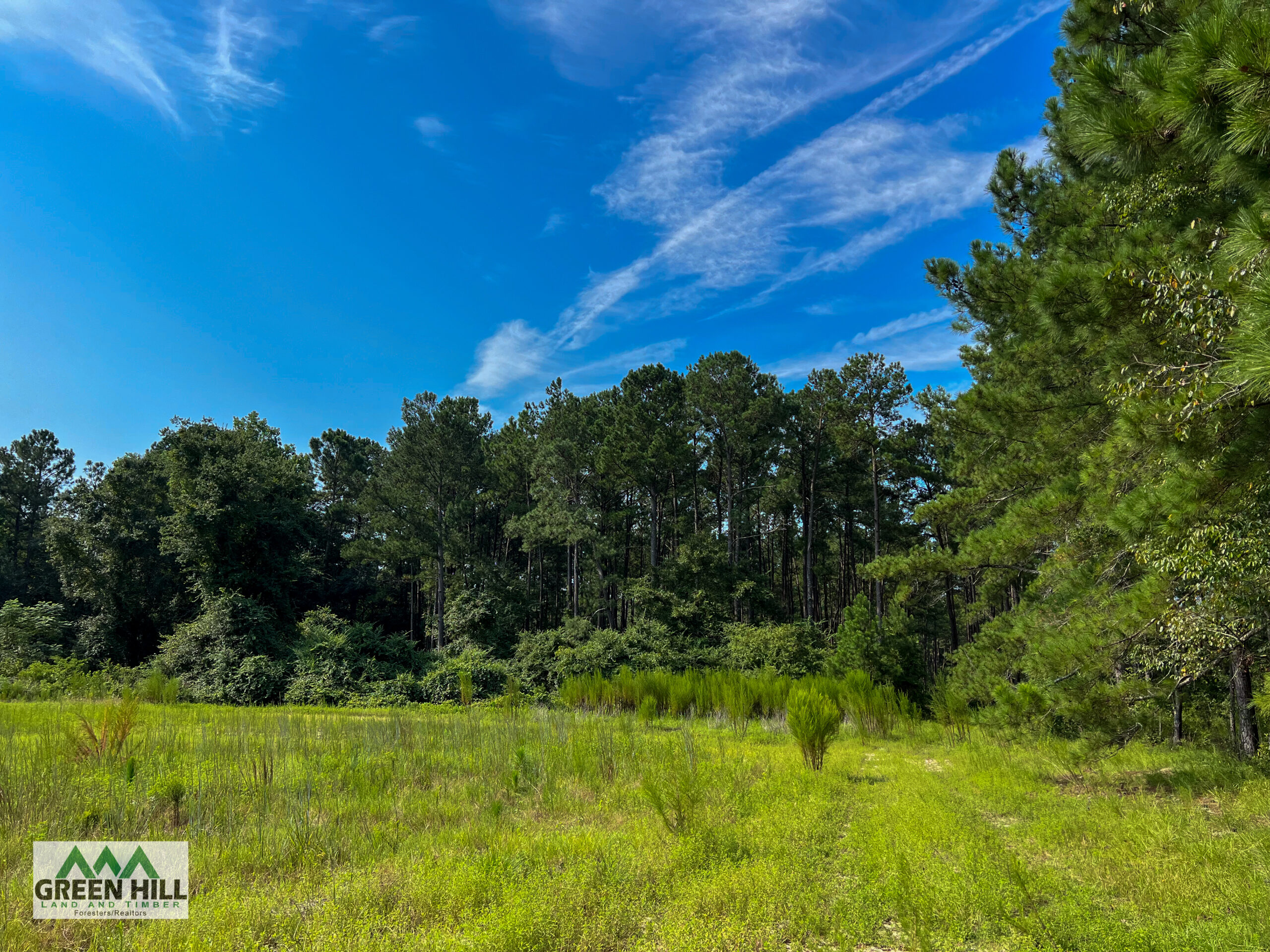 Ben Hill County GA 39 Acres +/ Green Hill Land & Forestry