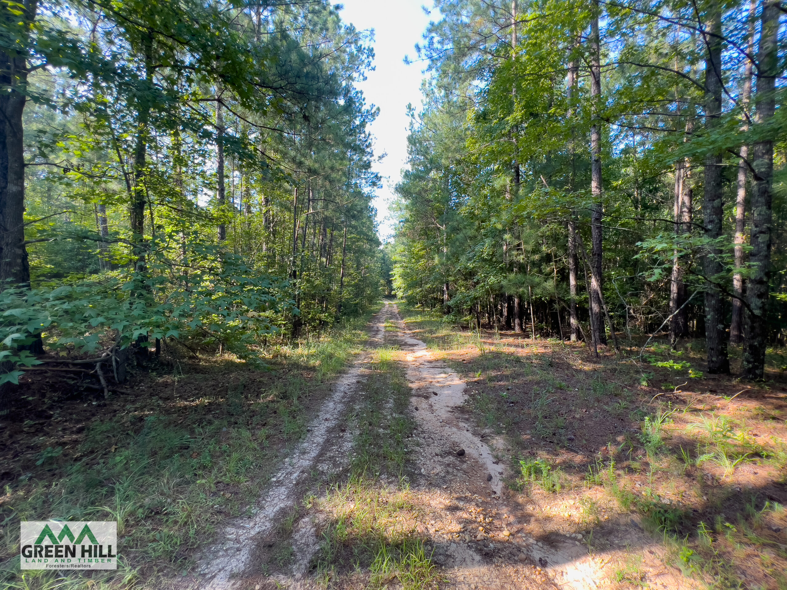Washington County GA 407 Acres +/ Green Hill Land & Timber