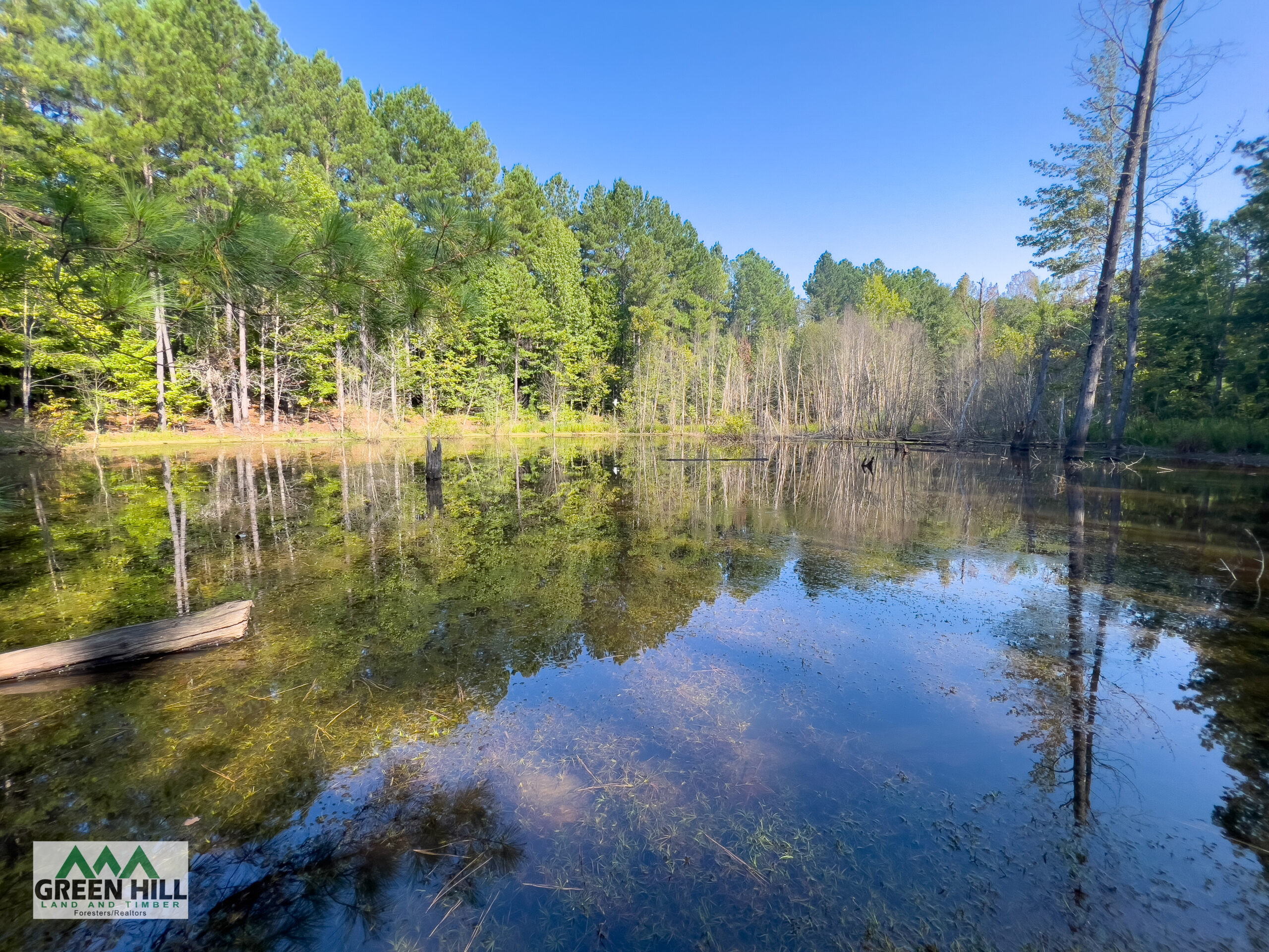 Washington County GA 407 Acres +/ Green Hill Land & Timber