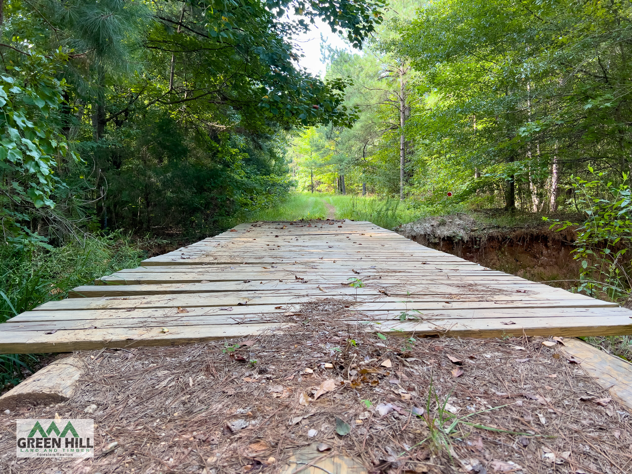 Washington County GA 407 Acres +/ Green Hill Land & Timber