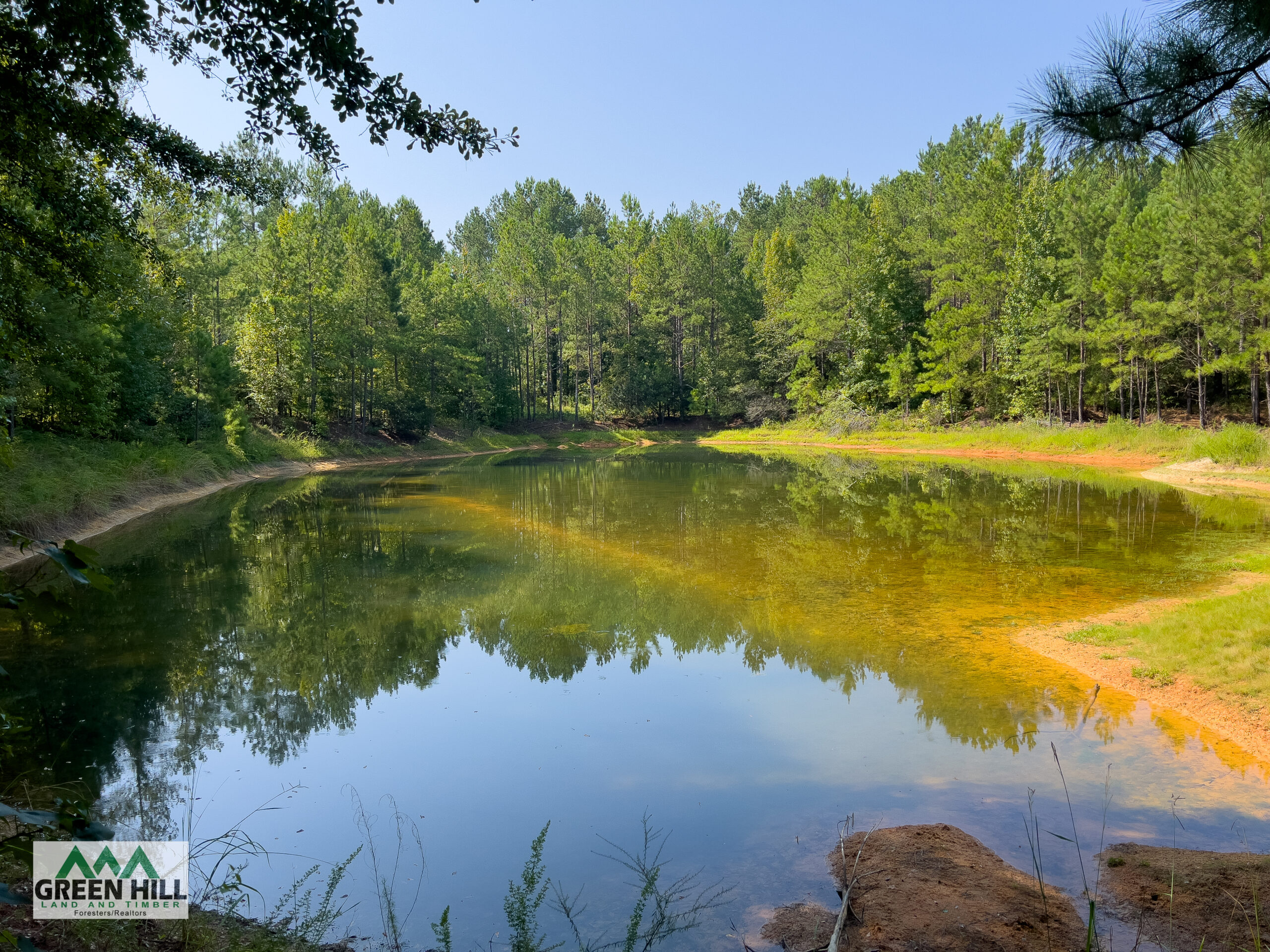 Washington County GA 407 Acres +/ Green Hill Land & Timber