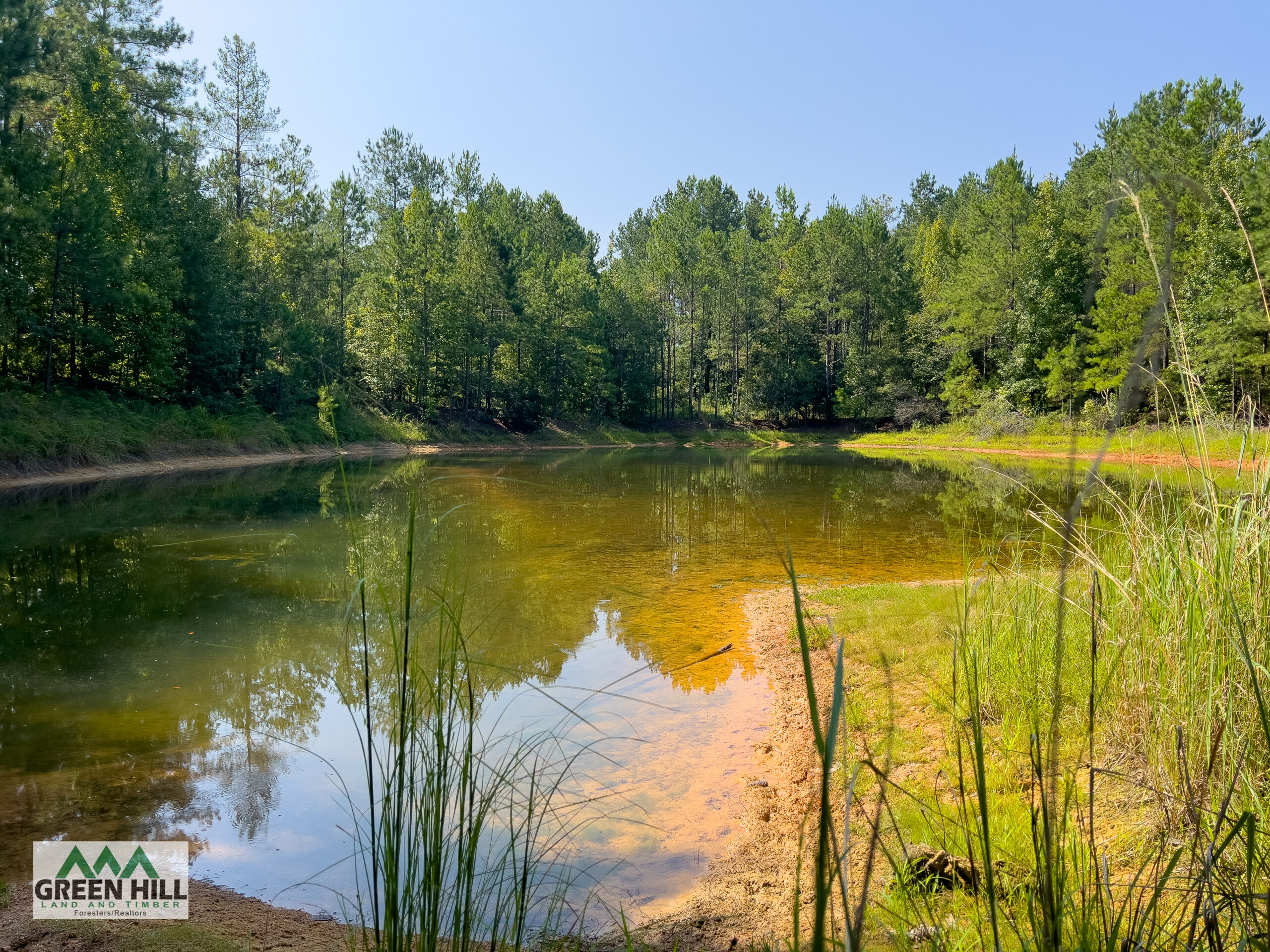 Washington County GA 407 Acres +/ Green Hill Land & Timber
