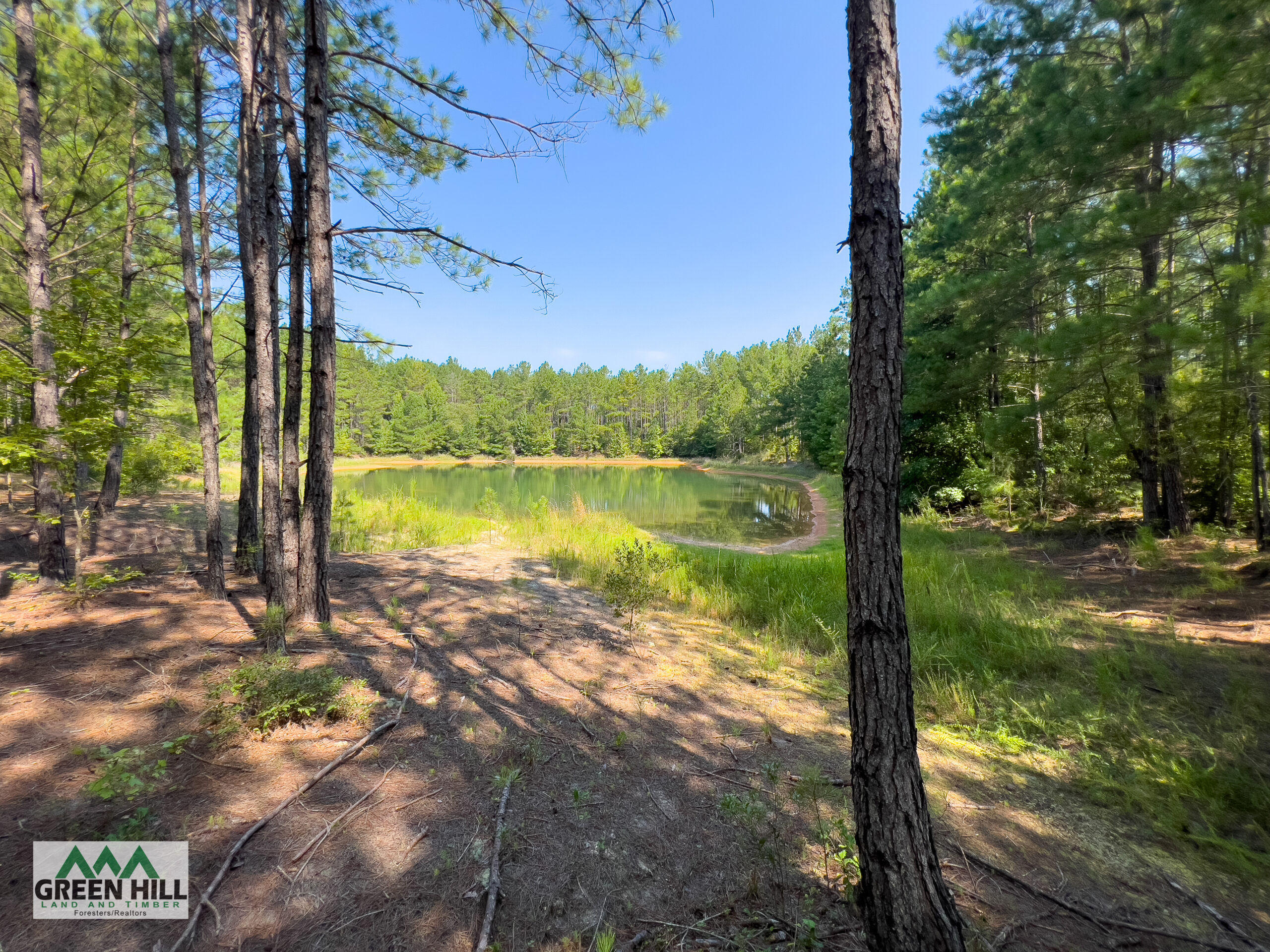 Washington County GA 407 Acres +/ Green Hill Land & Timber