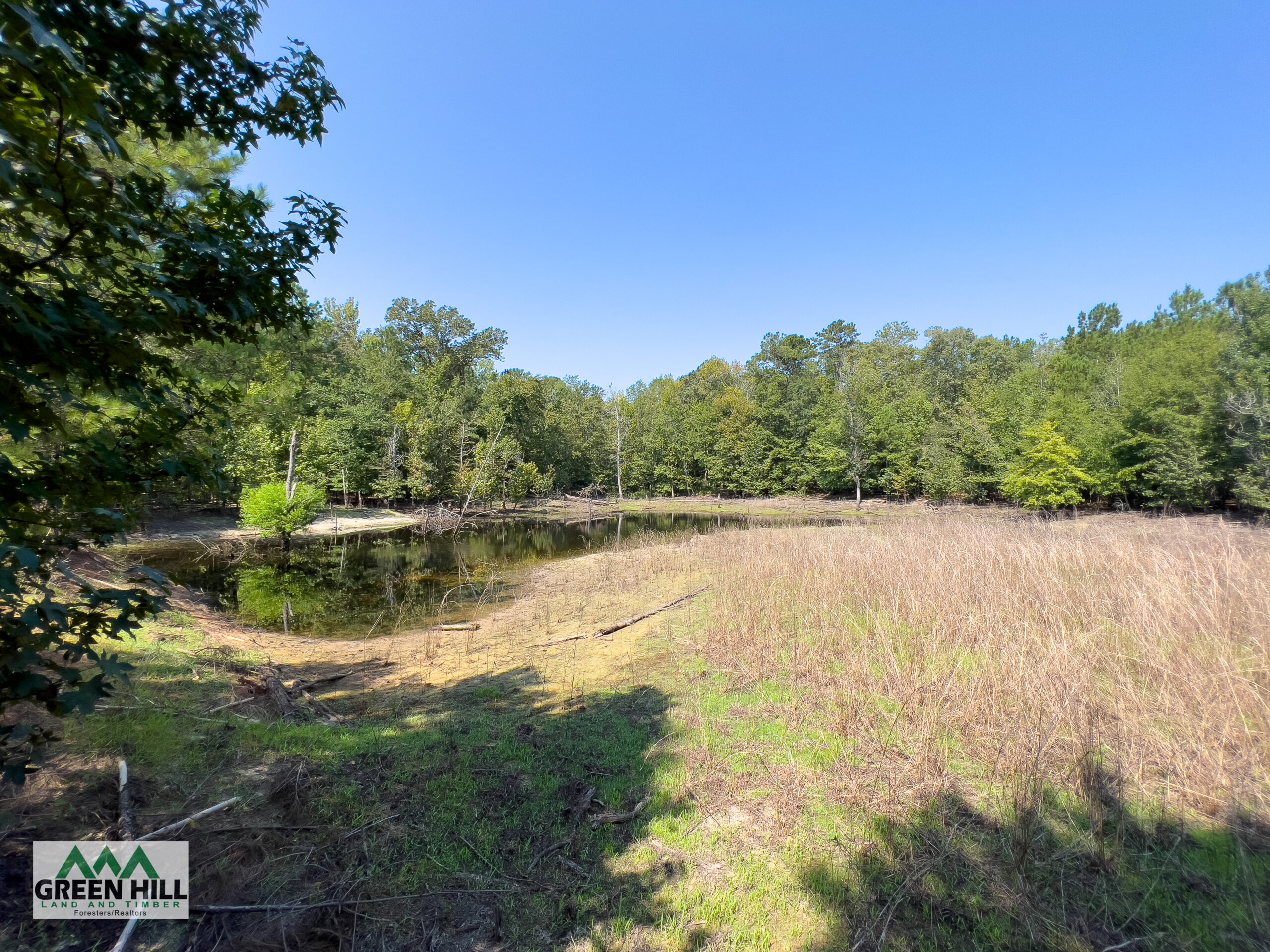 Washington County GA 407 Acres +/ Green Hill Land & Timber