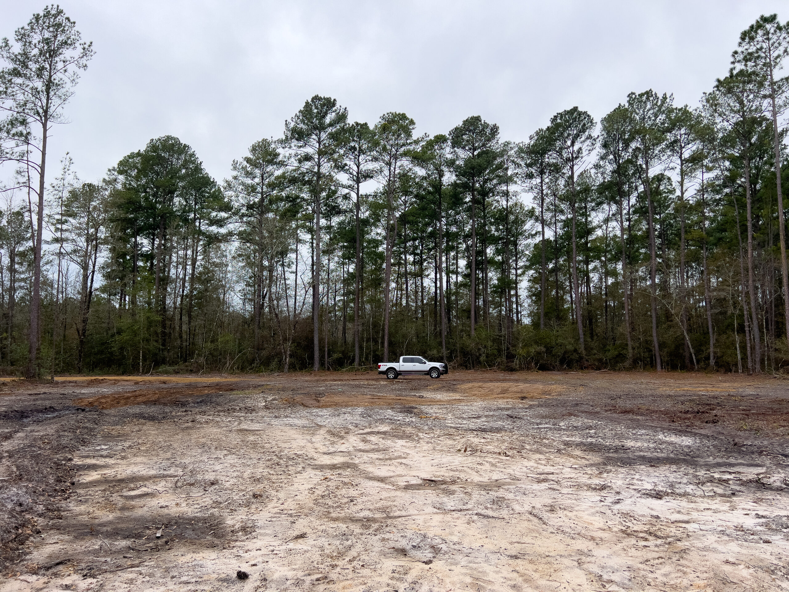 Effingham County GA 42 Acres +/ Green Hill Land & Forestry