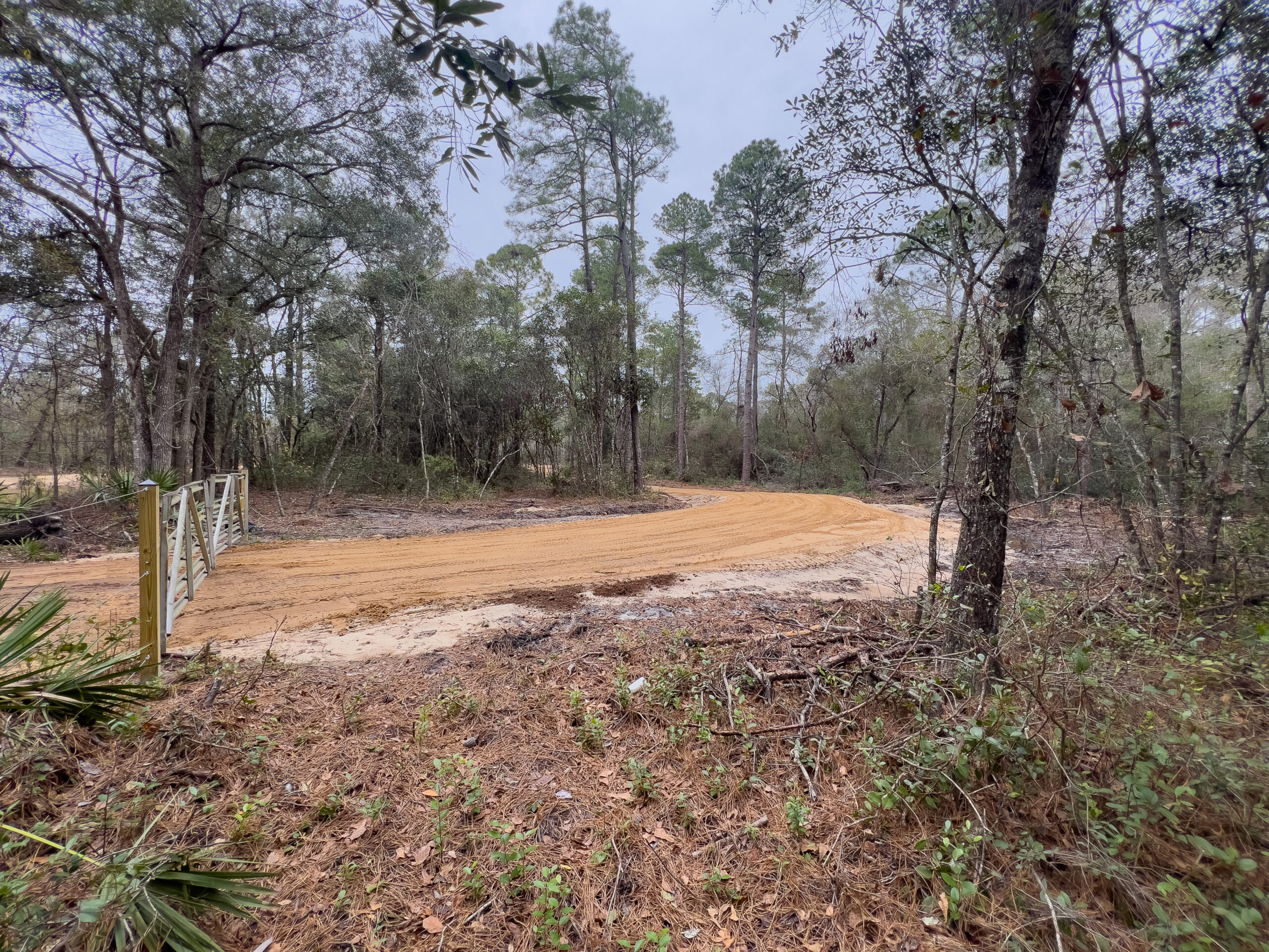 Effingham County GA 42 Acres +/ Green Hill Land & Forestry