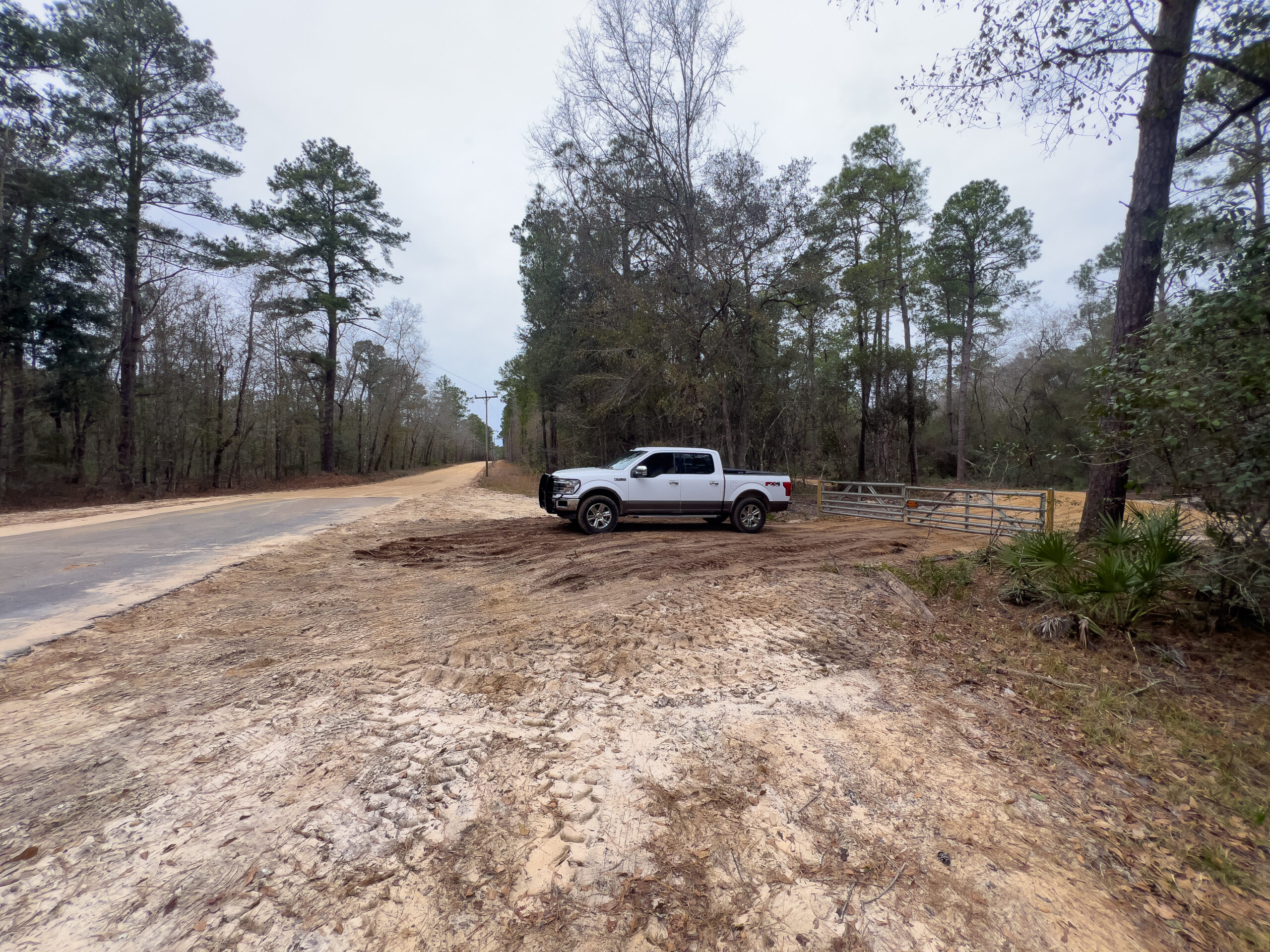 Effingham County GA 42 Acres +/ Green Hill Land & Forestry