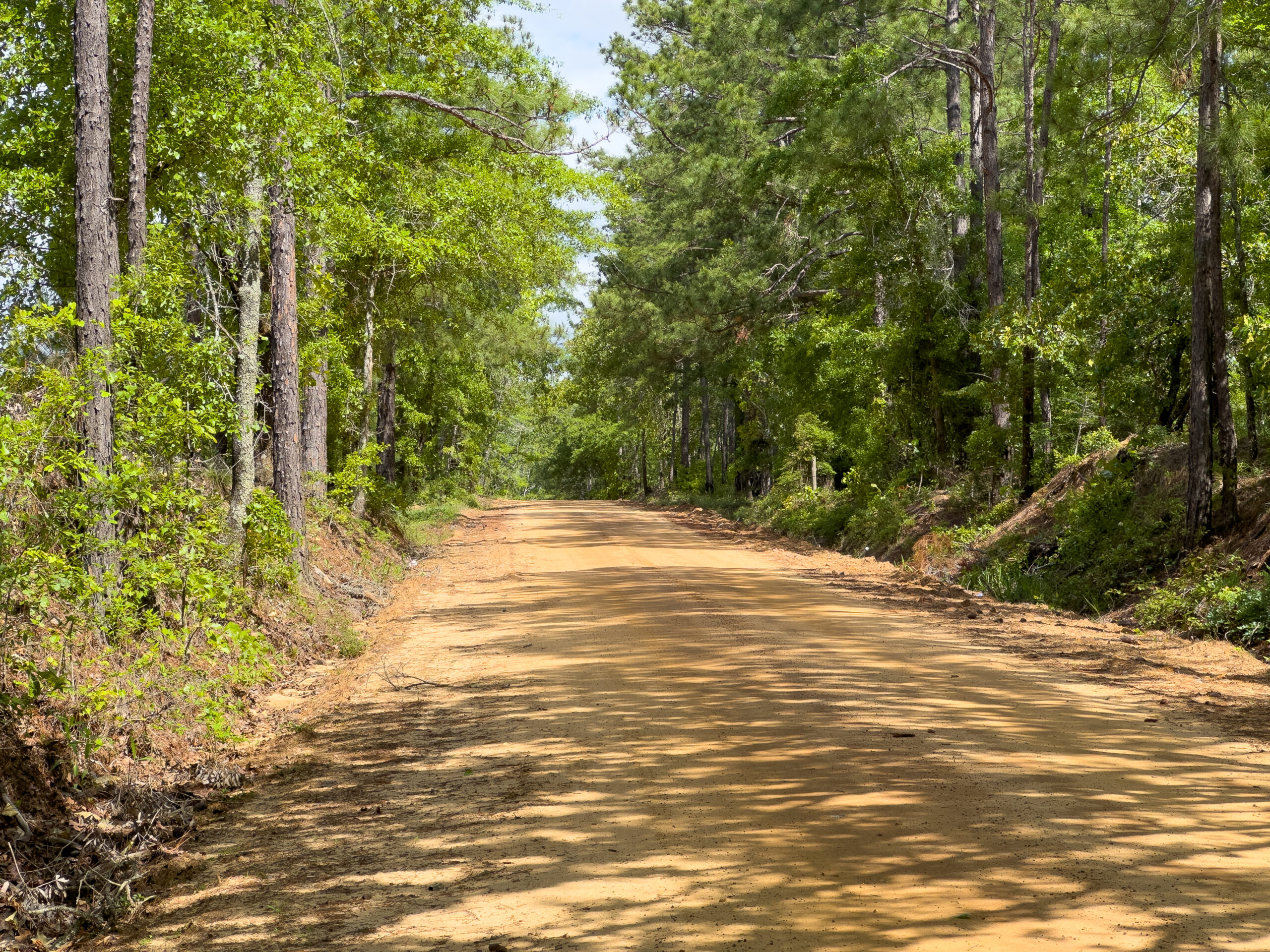Emanuel County GA 69 Acres +/ Green Hill Land & Forestry