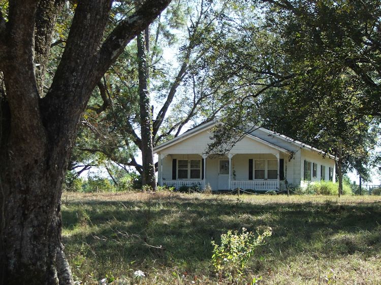 Jenkins County GA 259 +/ Acres Green Hill Land & Timber