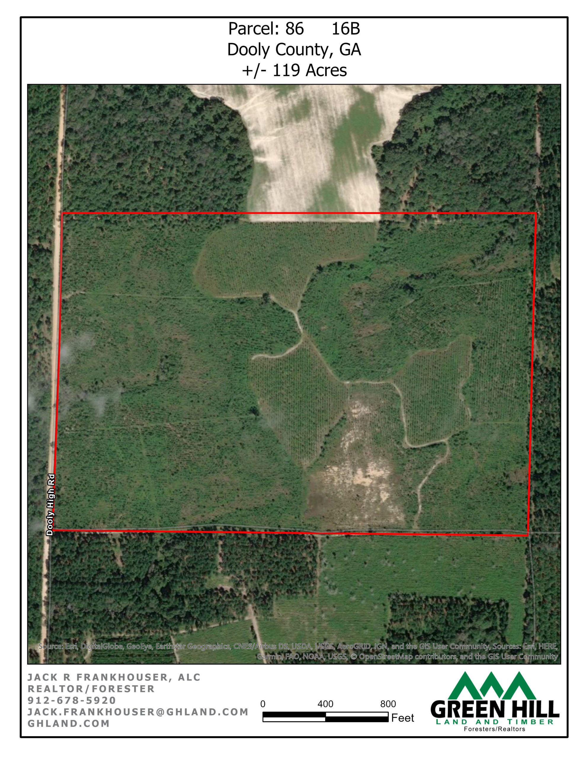Dooly County GA 119 Acres +/ Green Hill Land & Forestry