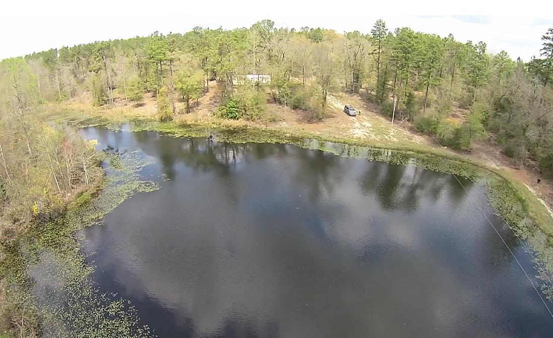 Burke County Land for Sale Green Hill Land & Forestry