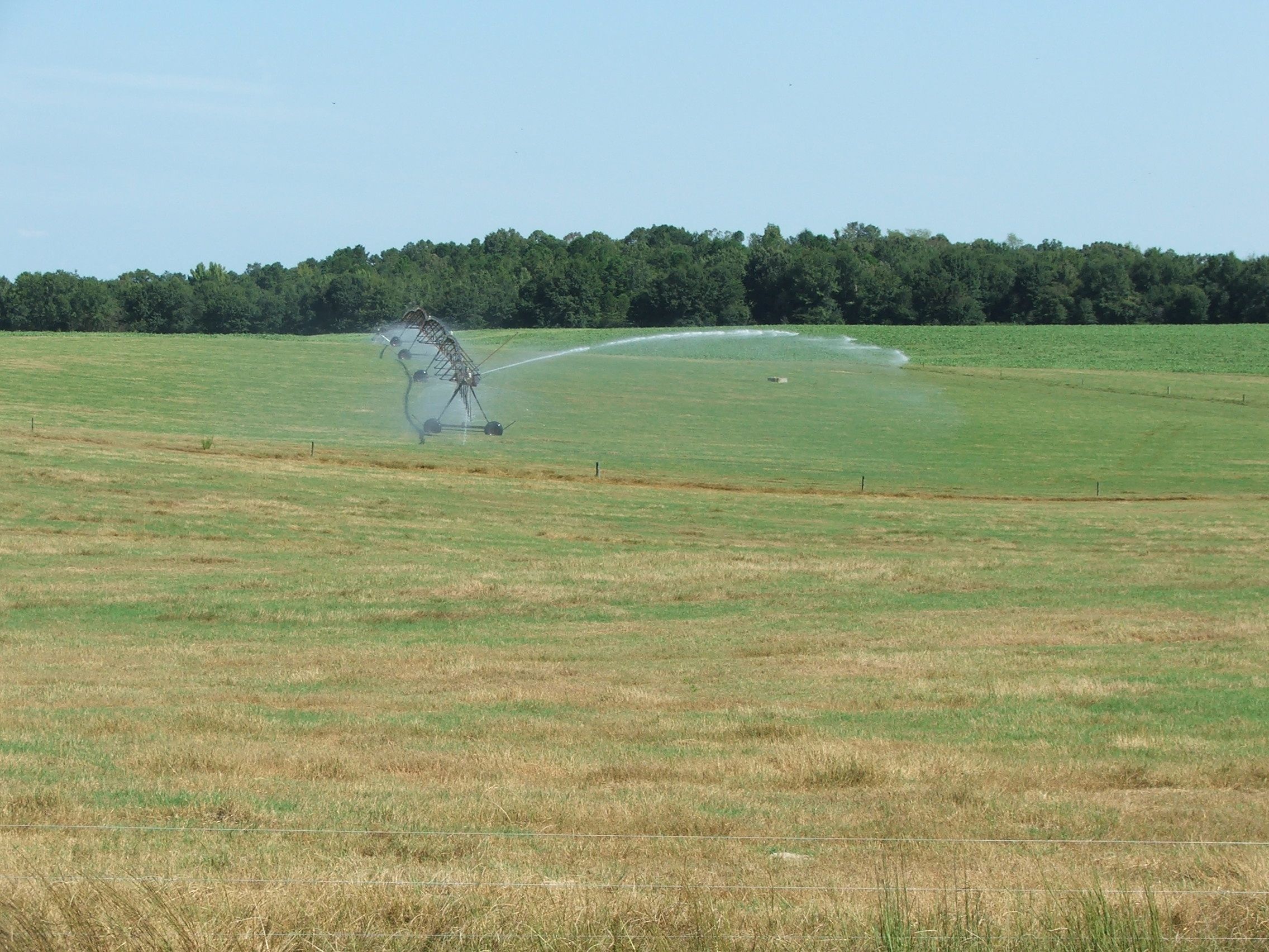 Irrigated Farm Land Land for Sale Green Hill Land & Forestry