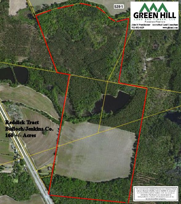 Bulloch County GA 160 +/ Acres Green Hill Land & Timber