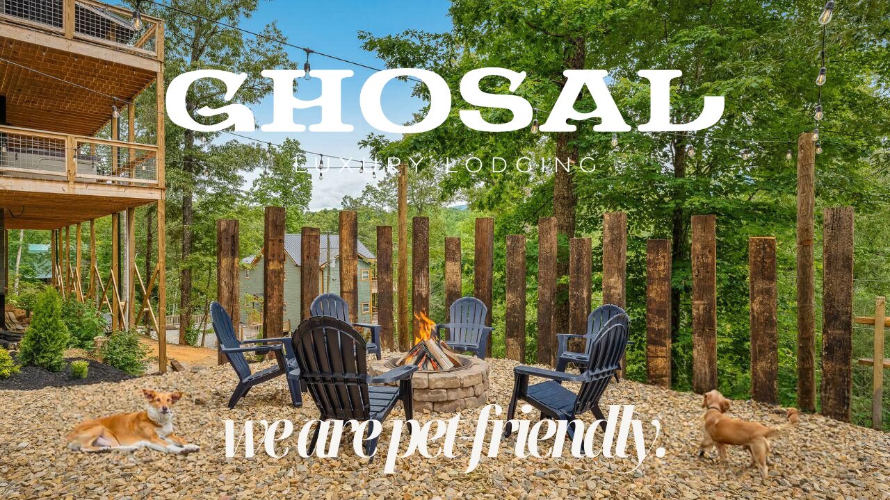 Discover the Best PetFriendly Activities in Gatlinburg, Sevierville