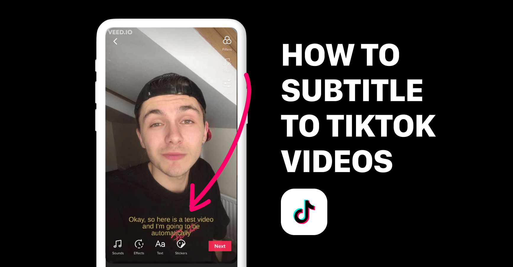 How to create TikTok subtitles Veed(020)