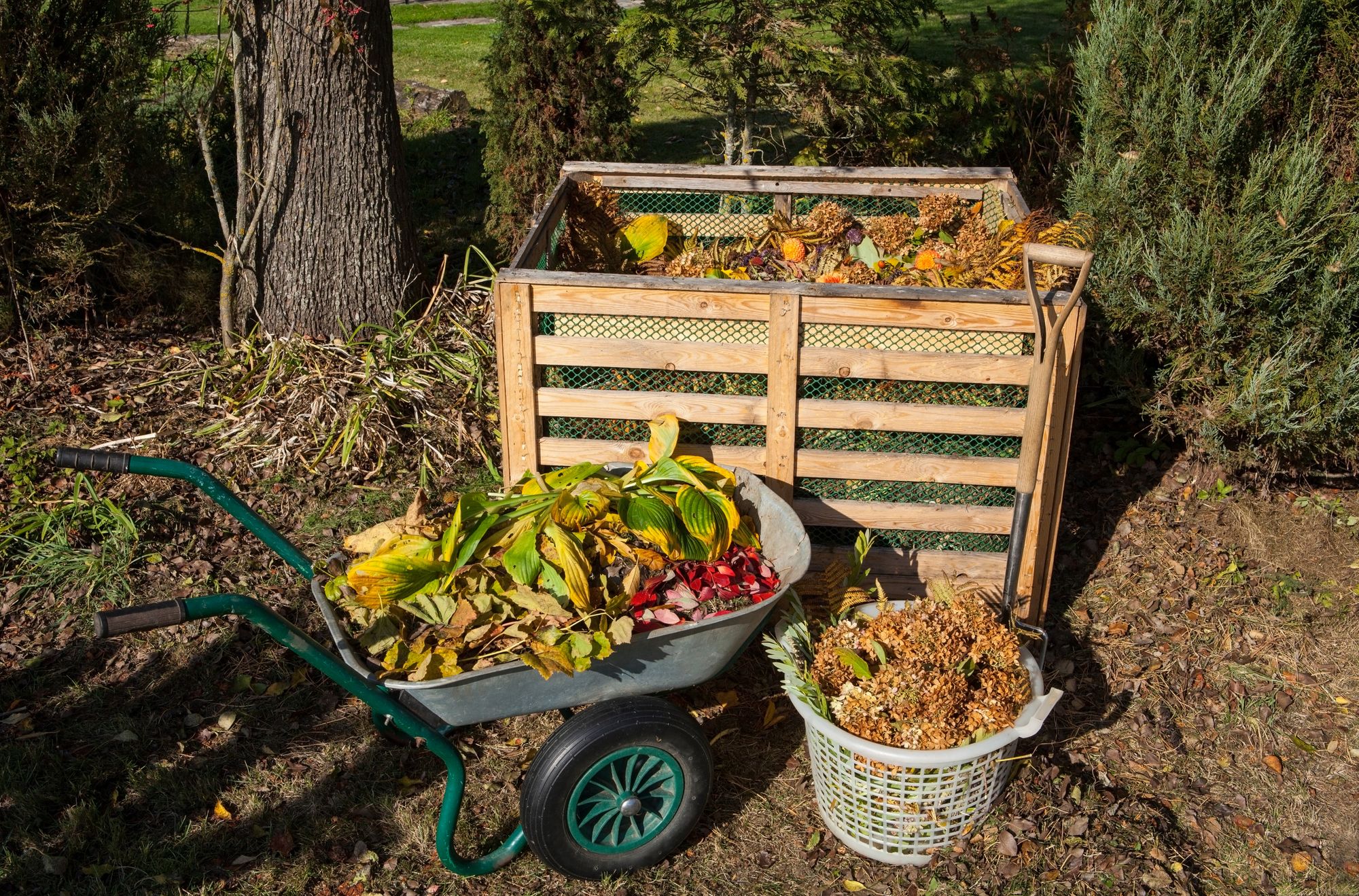 What You Need to Know About Using Compost Facilities