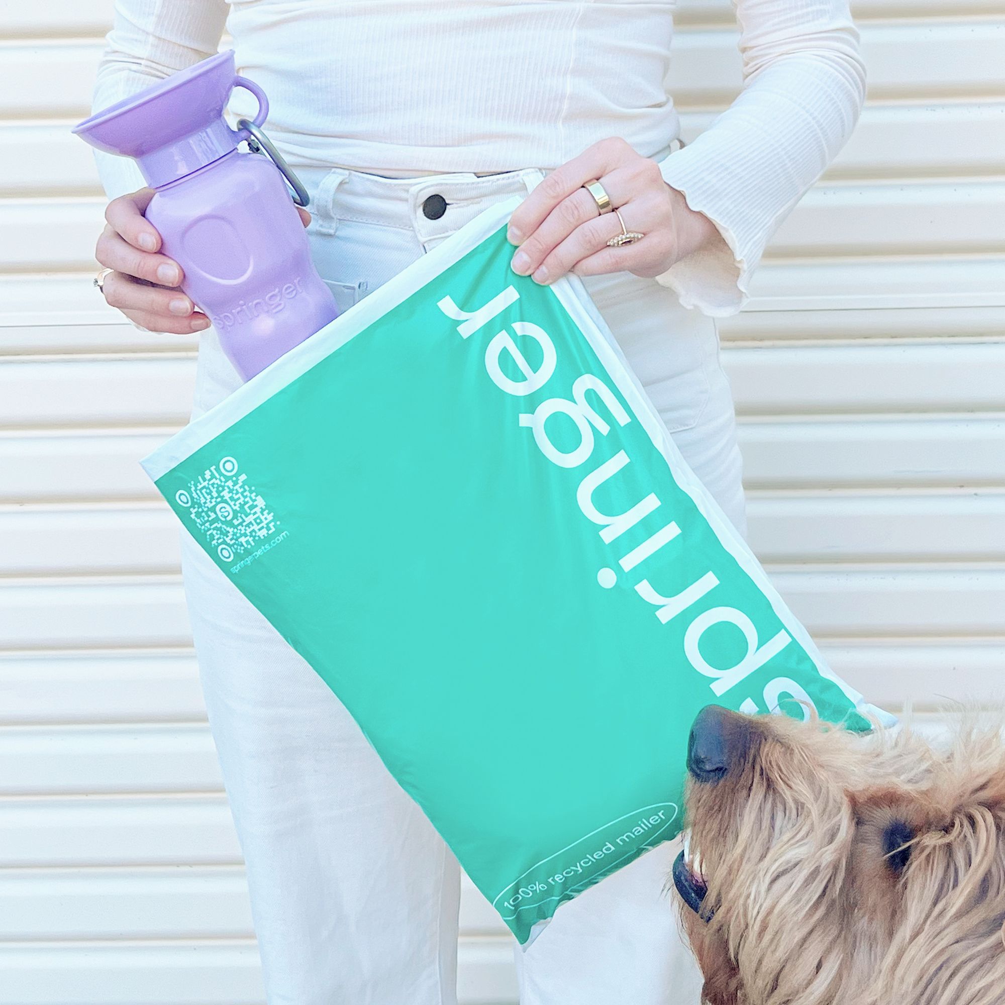 Springer Pets x noissue