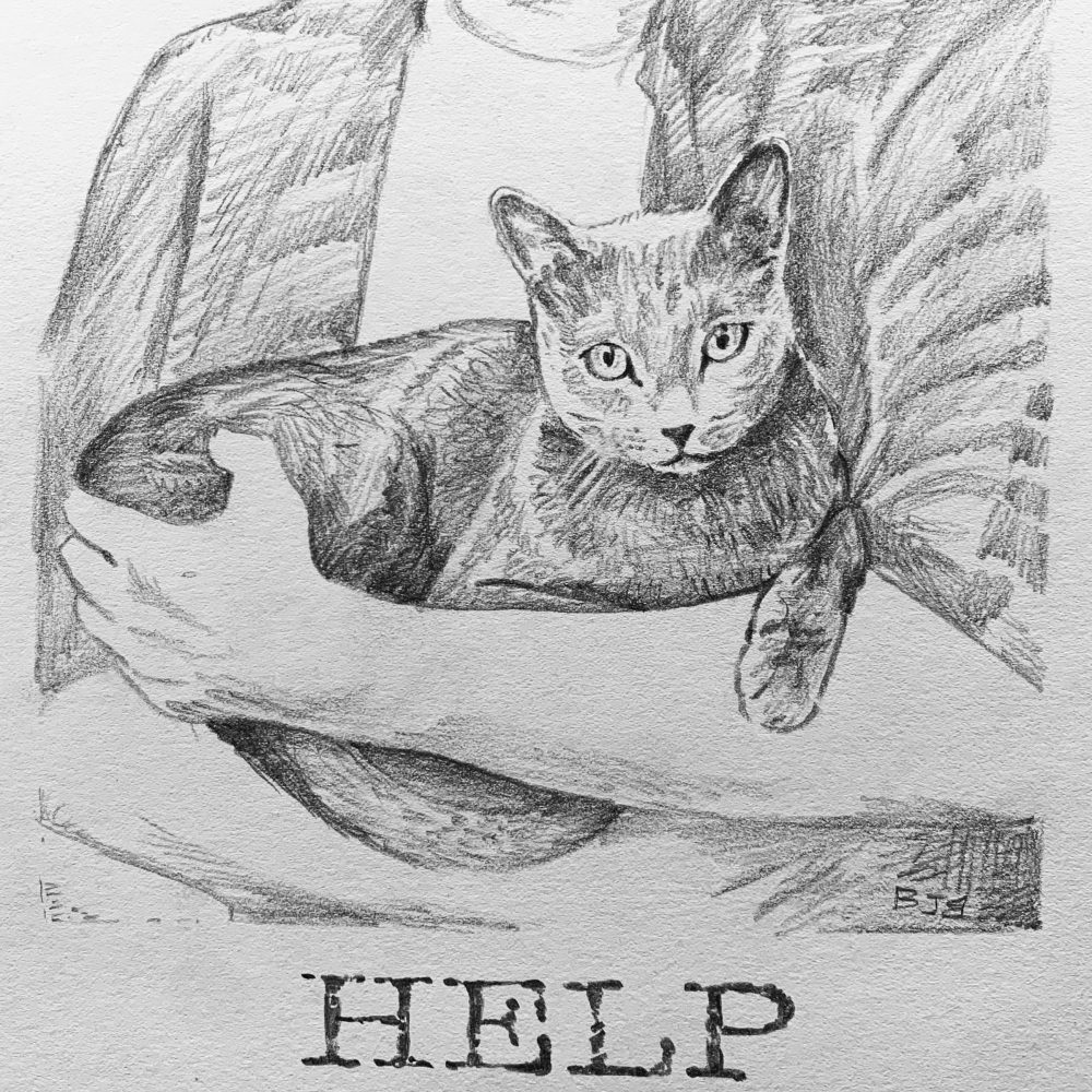 Codpod — Ghost Parachute