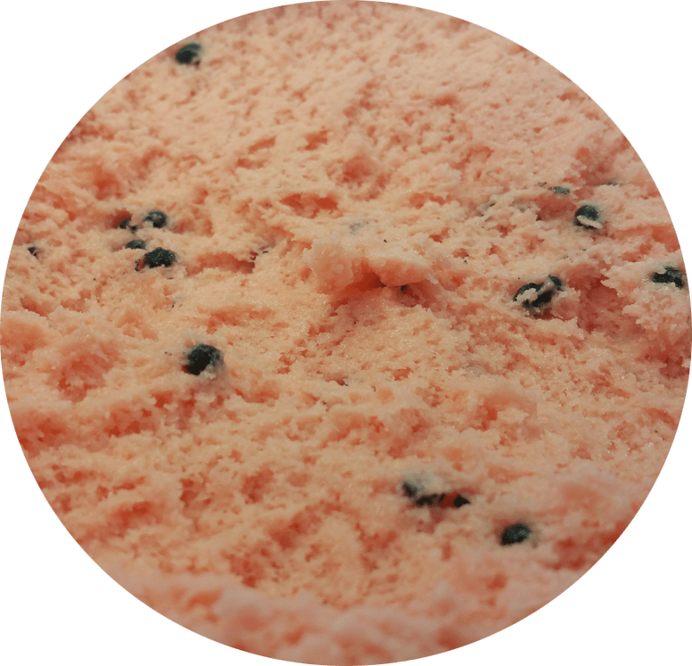 Watermelon Sherbet 11.4L Golden Horseshoe Wholesale Ice Cream Delivery