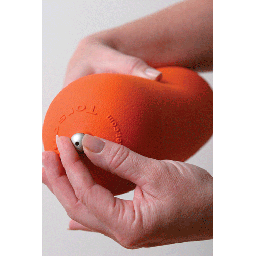 [바디볼스터(Body Bolster)DVD불포함/쿠션/자세교정/재활치료/마사지/부상회복/스트레칭/일자목/필라테스소도구]