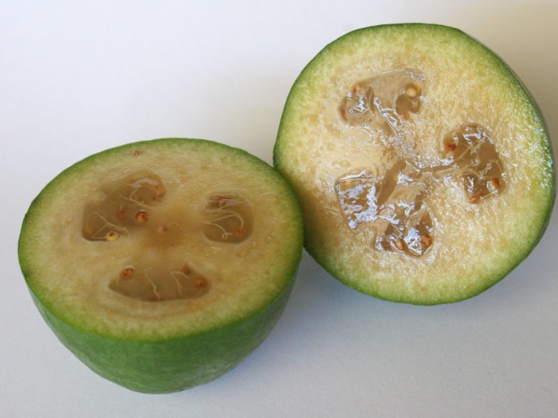 Ukusna Feijoa Recept S Medom Fotografija