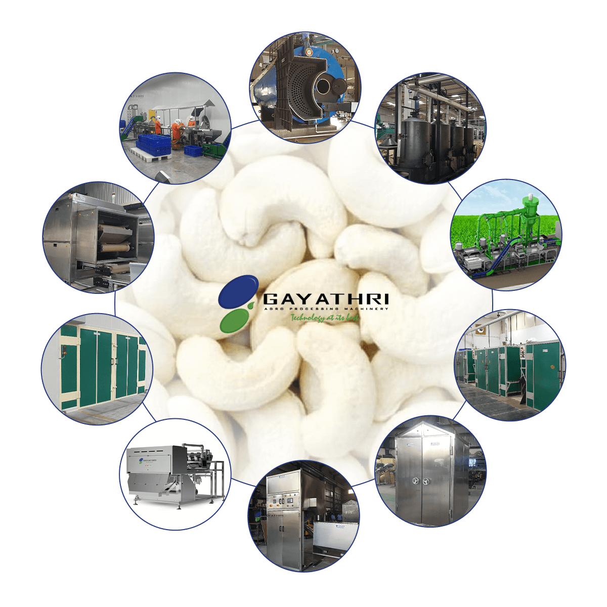 Machinery for Small Scale Cashew Nut Processing Unit Automated Cashew