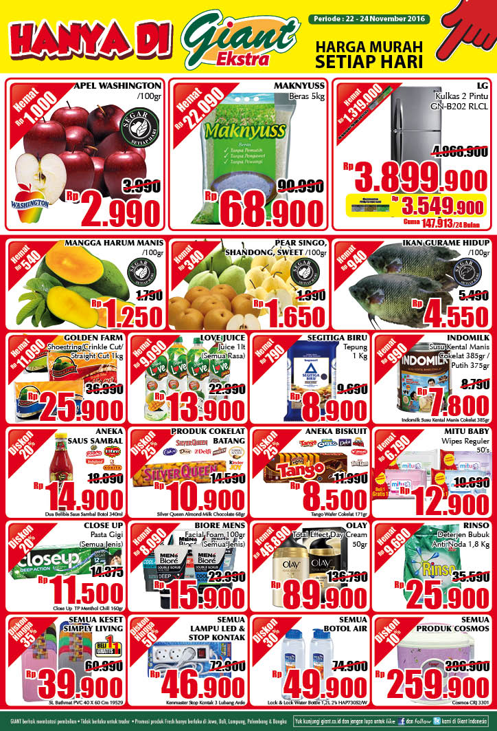 GIANT EXTRA SPS SOETTA BANGKA