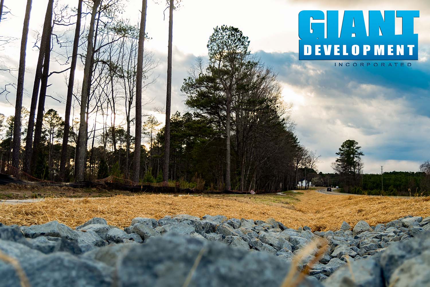 Yates Pond Giant Development