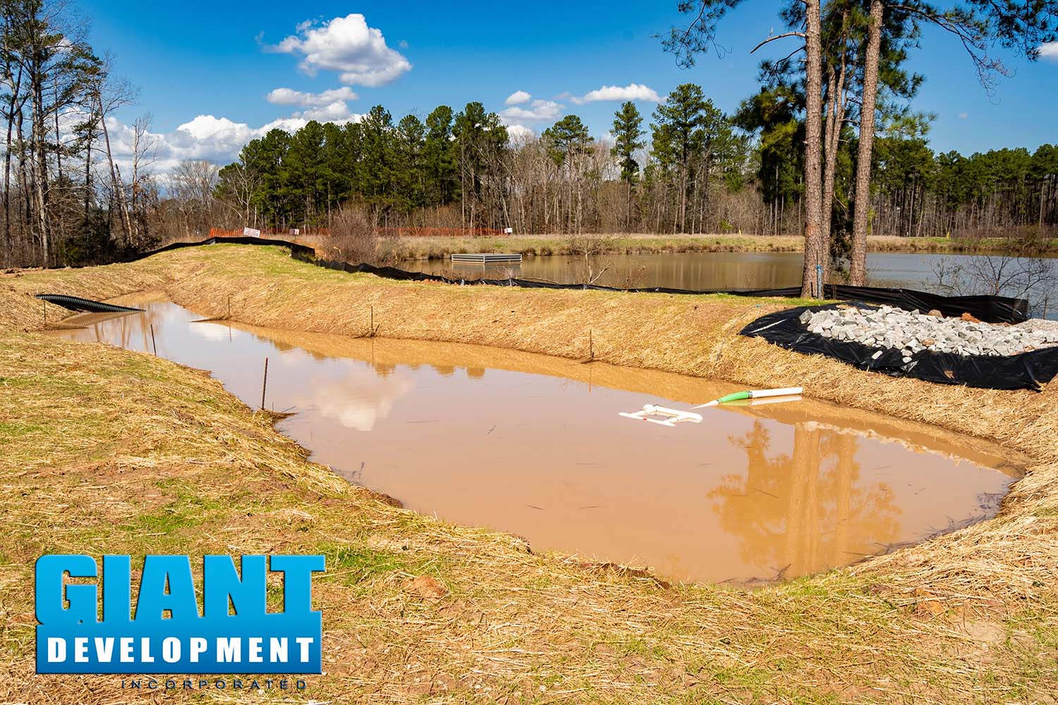 The Pointe at Stratford Lakes TH Giant Development