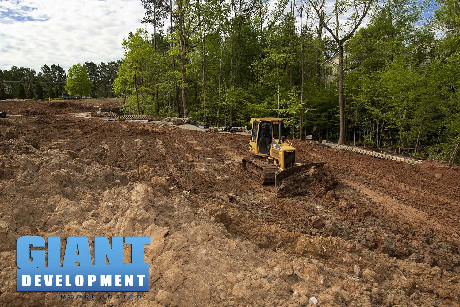 The Pointe at Stratford Lakes TH Giant Development