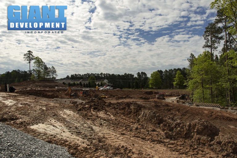 The Pointe at Stratford Lakes TH Giant Development