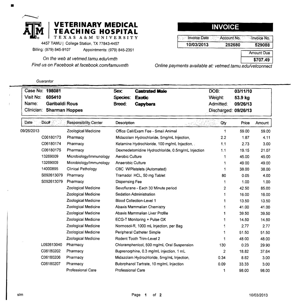 Gari's vet bill from Oct. 2013