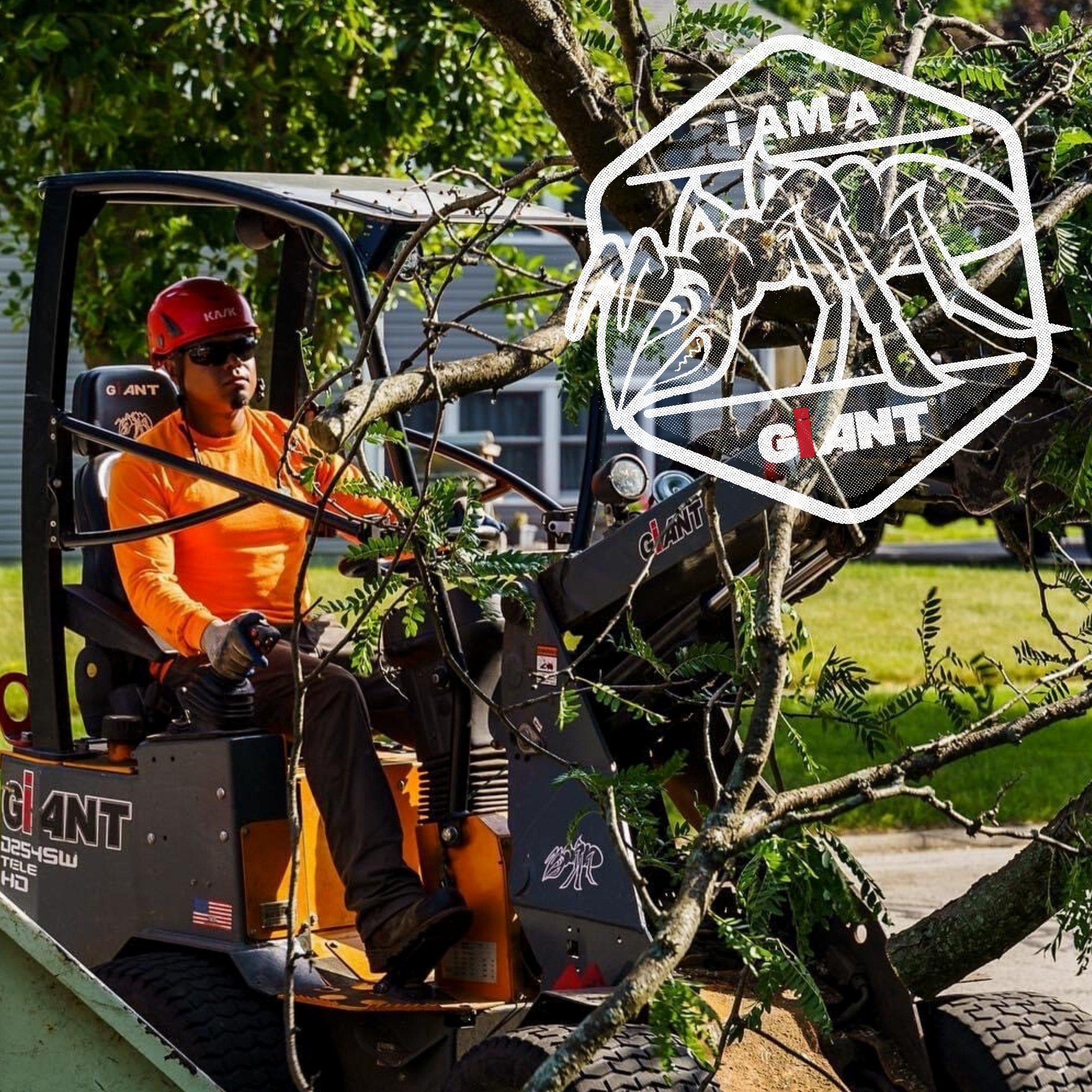 GiANTs are Entrepreneurs, Risktakers, Disruptors