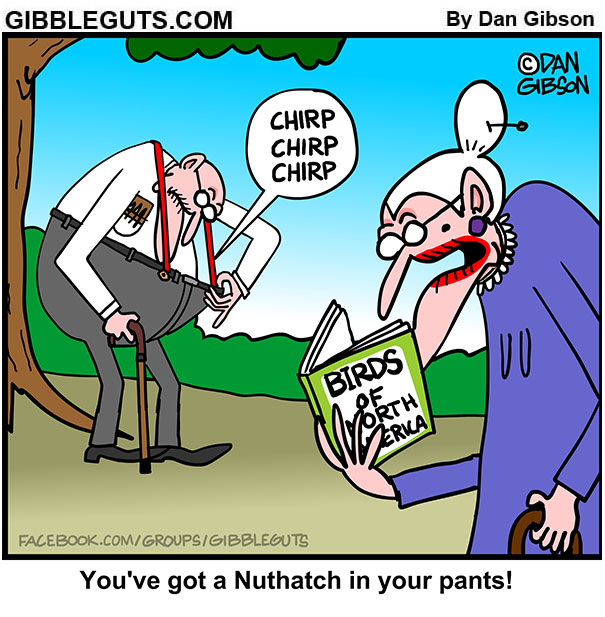 Birding with Tillie and Herb Gibbleguts COMICS