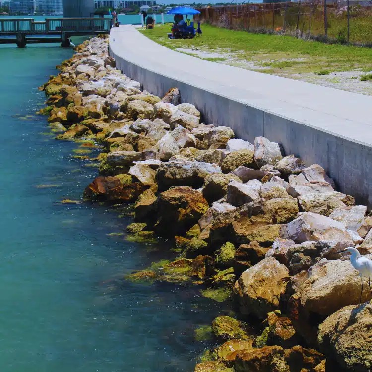 Gibson Marine Construction Tampa Seawall Construction Experts