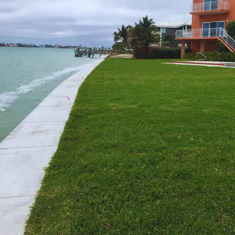 Gibson Marine Construction Tampa Seawall Construction Experts