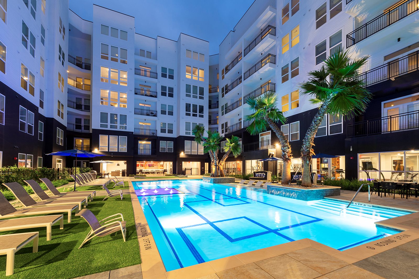 Windsor Shepherd GID