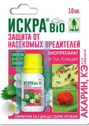 Иллюстрация к материалу «Препараты для клубники от вредителей и болезней. Уход за земляникой во время плодоношения»