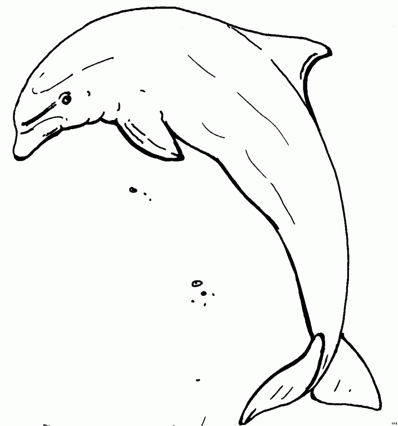 как нарисовать дельфина фломастерами
