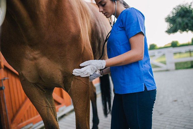 Фото 14: Правила сдачи авто на утилизацию. Как…