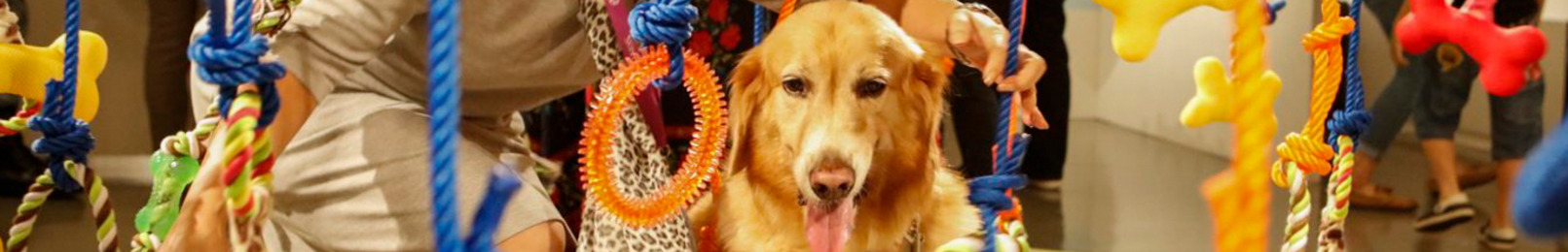 Las Vegas August 2023 Events SuperZoo (Aug 2023), Las Vegas USA Trade Show