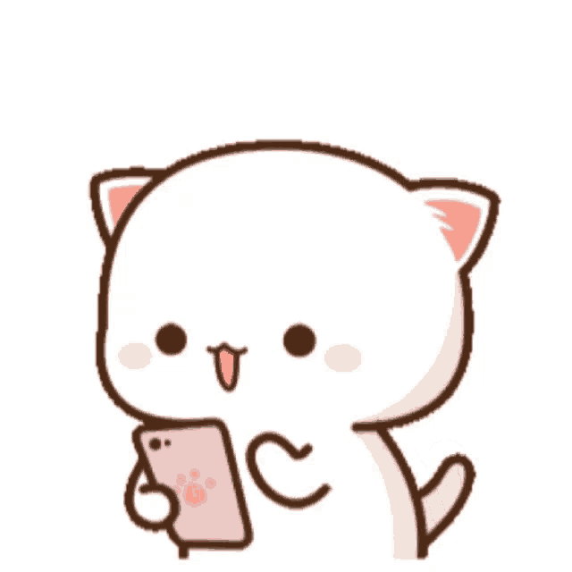 Cute cat GIF GIFCOP