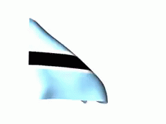 Botswana Paralympics Blue Flag GIF