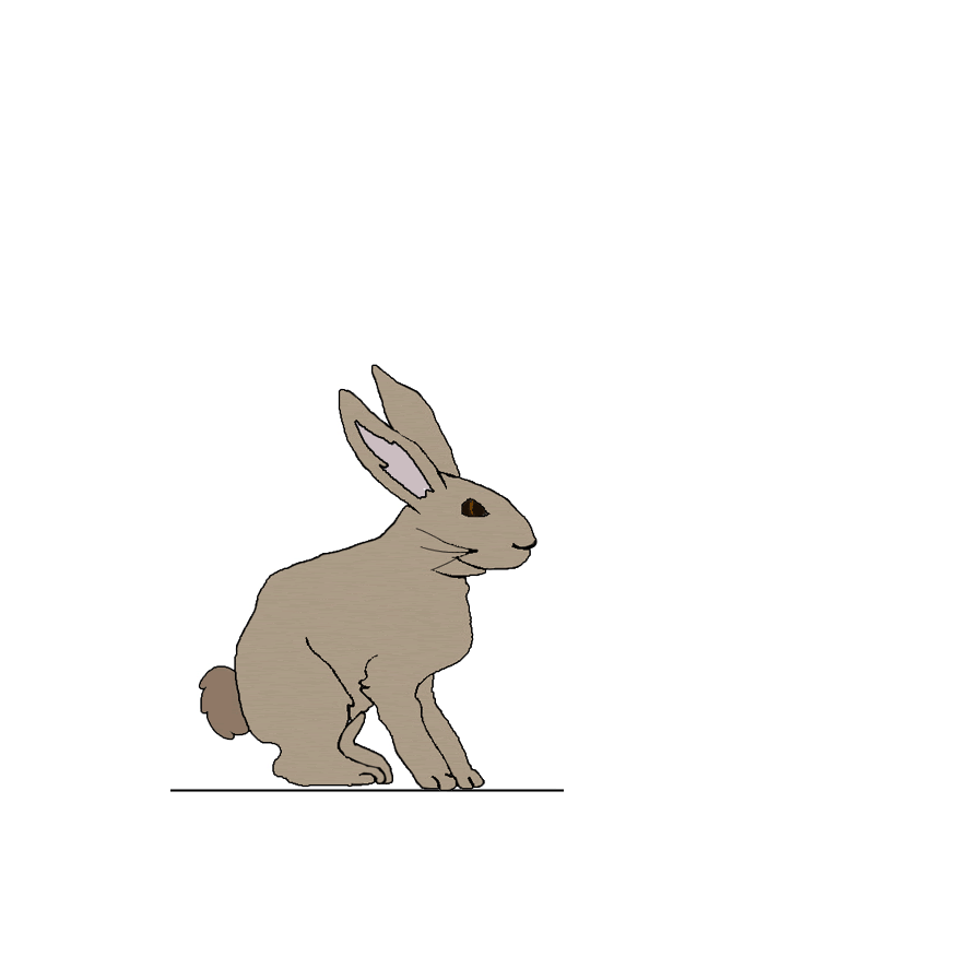 Cute Rabbit Gif Animated Forest Trees Gif Animated Gifs Dark Tree