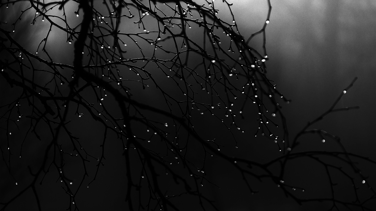 What if we had conversations through visual art instead of words