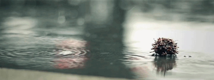 Rain Gif Gif Abyss