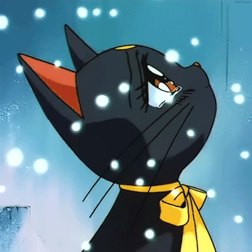 Nosebleed Cat Sailor Moon Gif On Gifer By Mobar vrogue.co