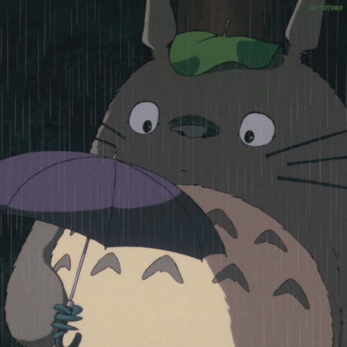 My Neighbor Totoro Gifs