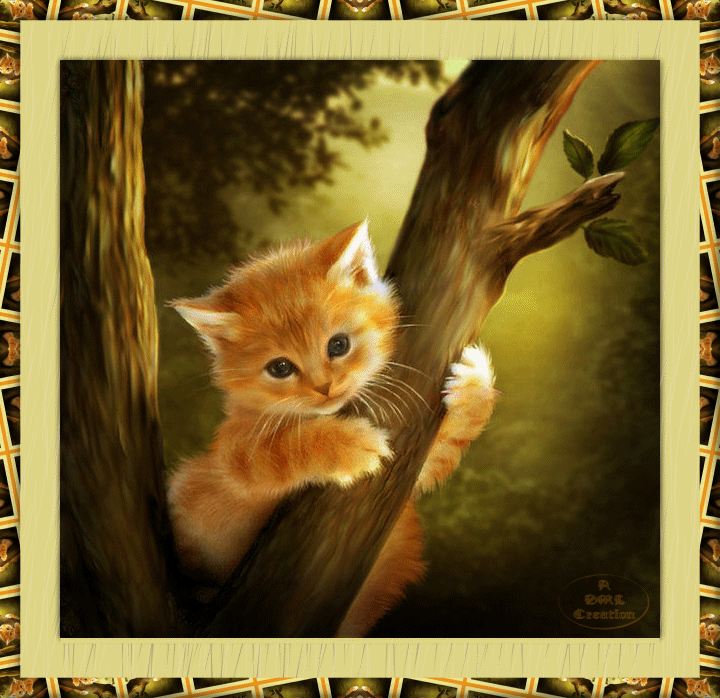 tiger cat in a tree Gif Abyss