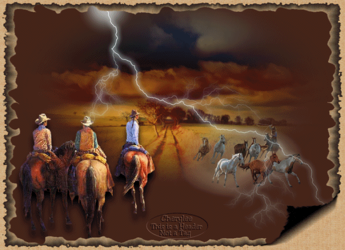 Cowboy Gifs